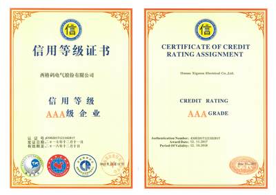 西格碼榮膺湖南省“AAA級信用單位”，企業信用建設再添新章