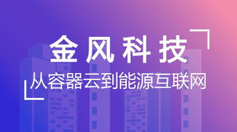 從容器云到能源互聯(lián)網(wǎng) 金風(fēng)科技的網(wǎng)絡(luò)技術(shù)咨詢服務(wù)賦能智慧能源未來
